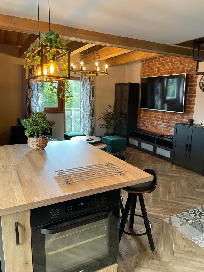 Apartamenty Miejscowka - Apartamenty Z Widokiem Na Gory - Bezplatny Parking Zakopane Dış mekan fotoğraf